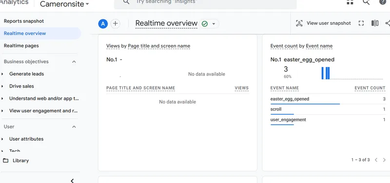 Google Analytics Setup on cameroncogan.com